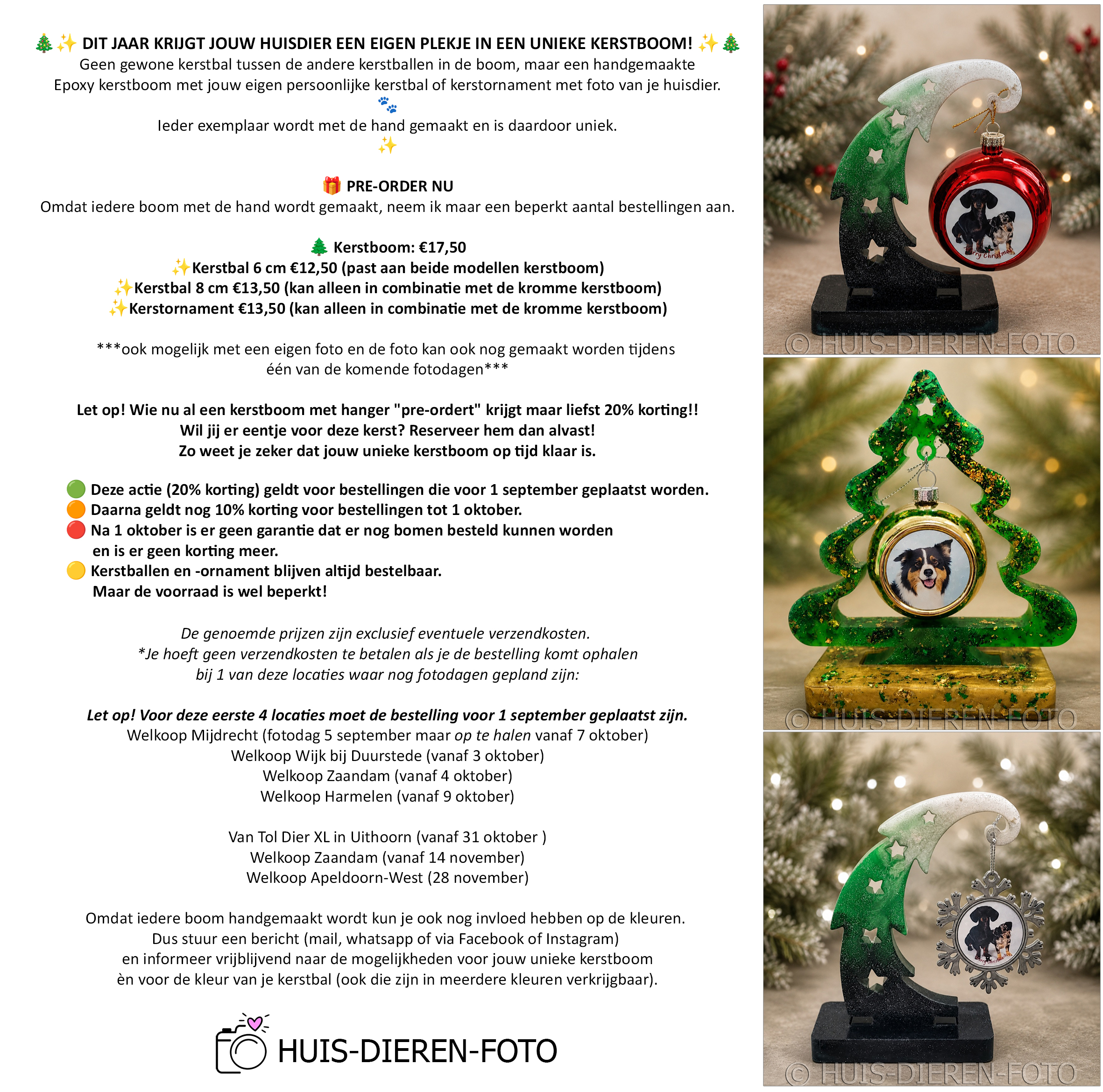 HUIS-DIEREN-FOTO_PROMOTIE KERST